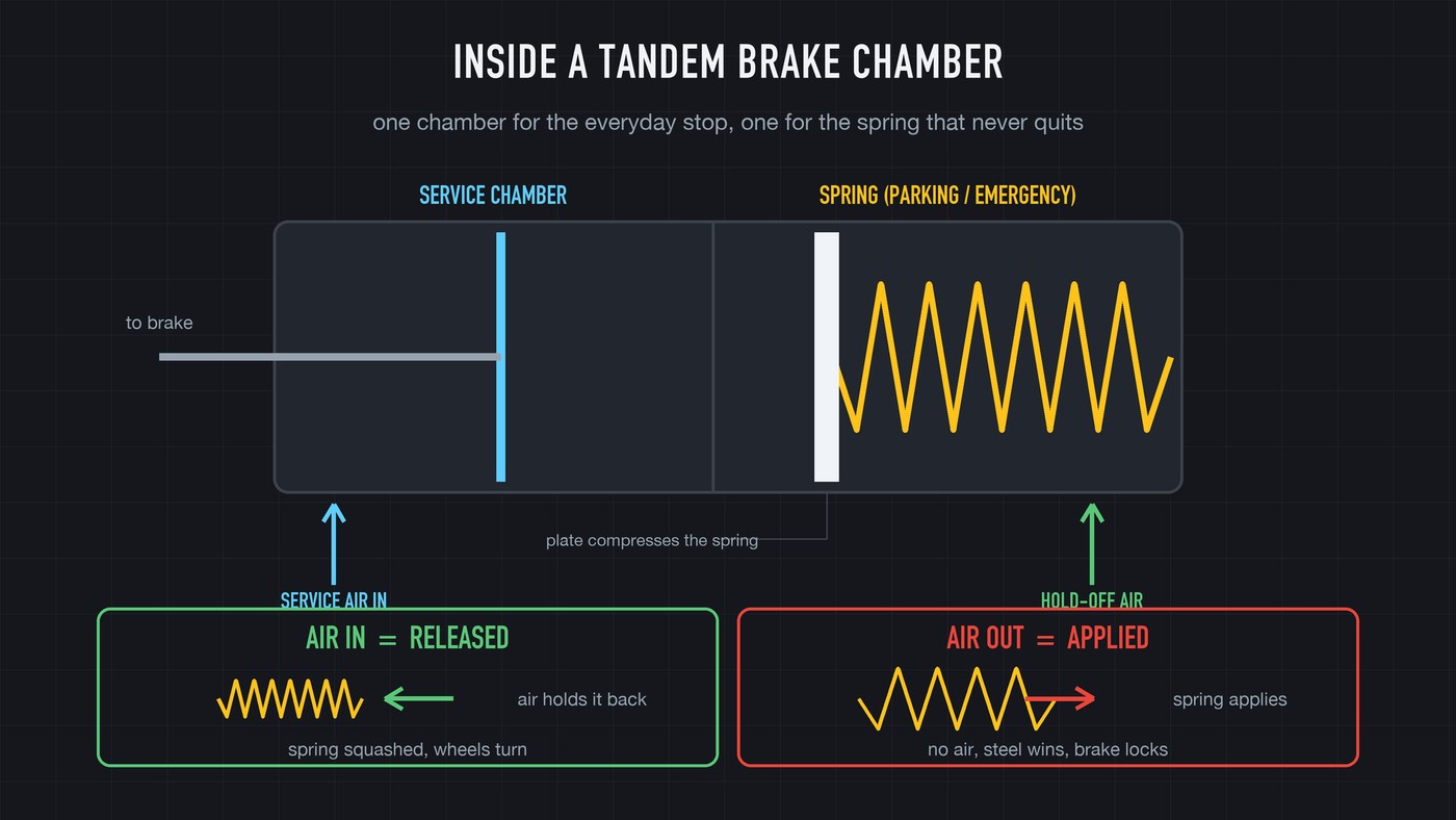 Inside the spring brake chamber: air compresses the big spring to release the brake. Drain the air and the spring slams it back on.